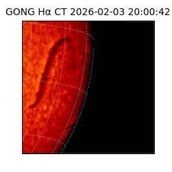 gong - 2026-02-03T20:00:42