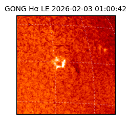 gong - 2026-02-03T01:00:42