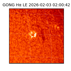 gong - 2026-02-03T02:00:42