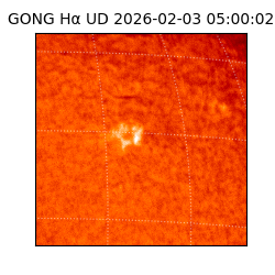 gong - 2026-02-03T05:00:02