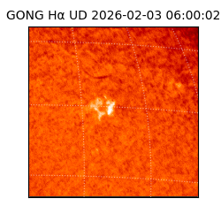 gong - 2026-02-03T06:00:02