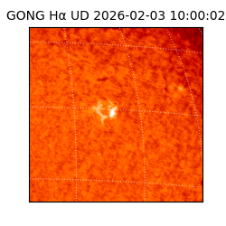 gong - 2026-02-03T10:00:02