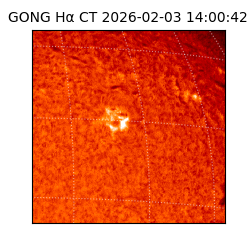 gong - 2026-02-03T14:00:42