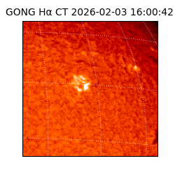 gong - 2026-02-03T16:00:42