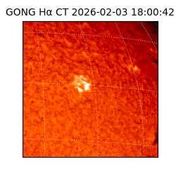 gong - 2026-02-03T18:00:42