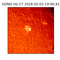 gong - 2026-02-03T19:00:42