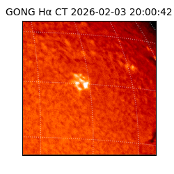 gong - 2026-02-03T20:00:42