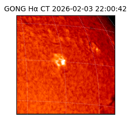 gong - 2026-02-03T22:00:42