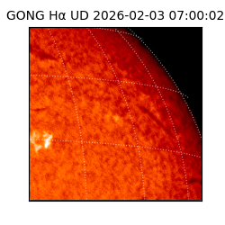 gong - 2026-02-03T07:00:02