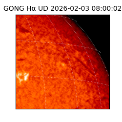 gong - 2026-02-03T08:00:02