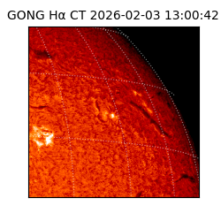 gong - 2026-02-03T13:00:42