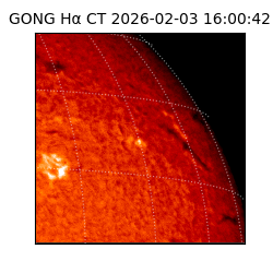 gong - 2026-02-03T16:00:42