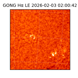 gong - 2026-02-03T02:00:42