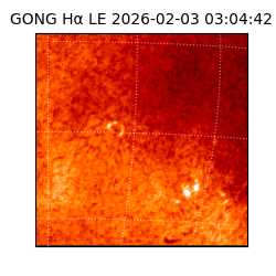 gong - 2026-02-03T03:04:42
