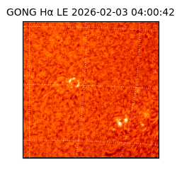 gong - 2026-02-03T04:00:42