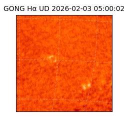 gong - 2026-02-03T05:00:02