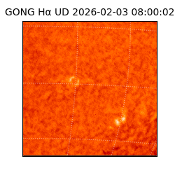 gong - 2026-02-03T08:00:02