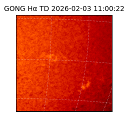 gong - 2026-02-03T11:00:22