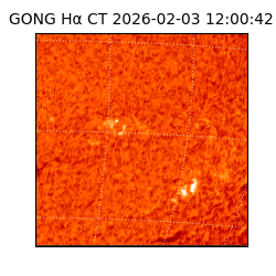 gong - 2026-02-03T12:00:42