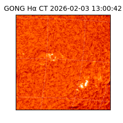 gong - 2026-02-03T13:00:42