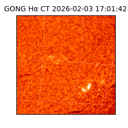 gong - 2026-02-03T17:01:42