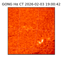 gong - 2026-02-03T19:00:42