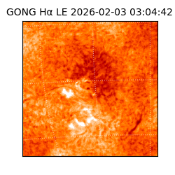 gong - 2026-02-03T03:04:42
