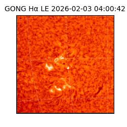 gong - 2026-02-03T04:00:42