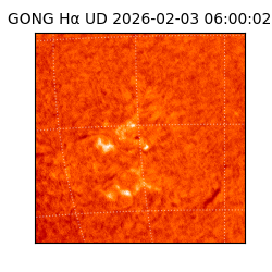 gong - 2026-02-03T06:00:02