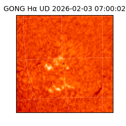 gong - 2026-02-03T07:00:02