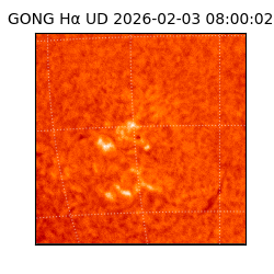 gong - 2026-02-03T08:00:02