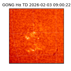 gong - 2026-02-03T09:00:22