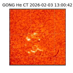 gong - 2026-02-03T13:00:42