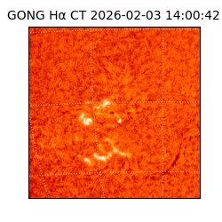 gong - 2026-02-03T14:00:42