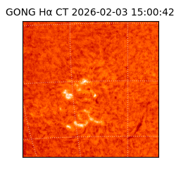 gong - 2026-02-03T15:00:42