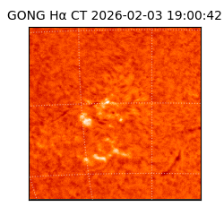 gong - 2026-02-03T19:00:42