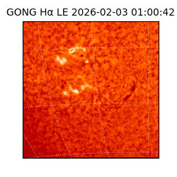 gong - 2026-02-03T01:00:42