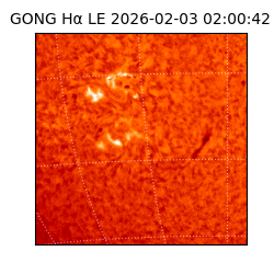 gong - 2026-02-03T02:00:42