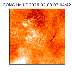 gong - 2026-02-03T03:04:42