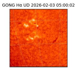 gong - 2026-02-03T05:00:02