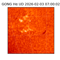 gong - 2026-02-03T07:00:02