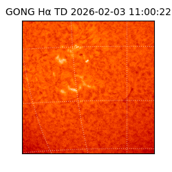 gong - 2026-02-03T11:00:22