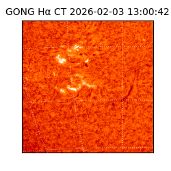 gong - 2026-02-03T13:00:42