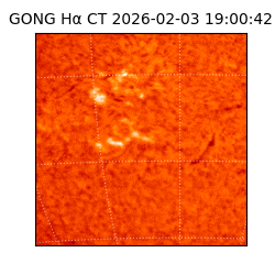 gong - 2026-02-03T19:00:42