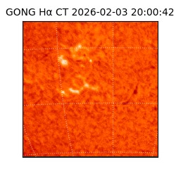 gong - 2026-02-03T20:00:42