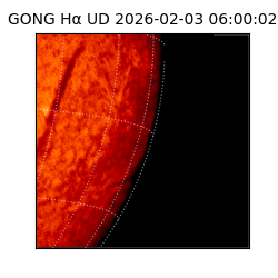 gong - 2026-02-03T06:00:02
