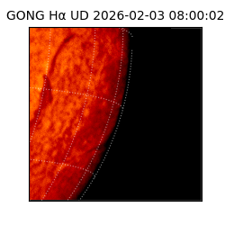 gong - 2026-02-03T08:00:02