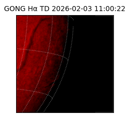 gong - 2026-02-03T11:00:22