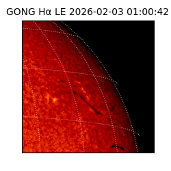 gong - 2026-02-03T01:00:42