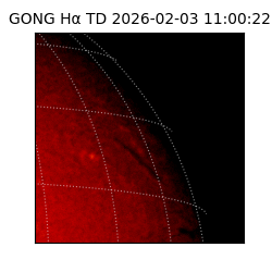 gong - 2026-02-03T11:00:22